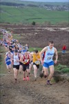 Click on thumbnail for larger photo